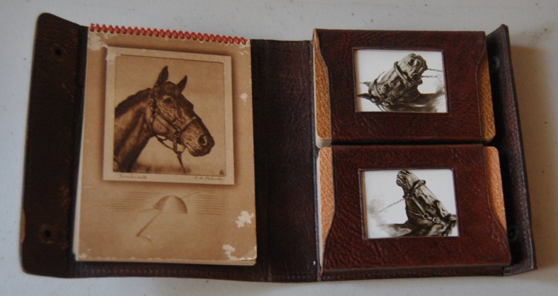 Vintage Horse Playing Cards: Vintage Horse Playing Cards