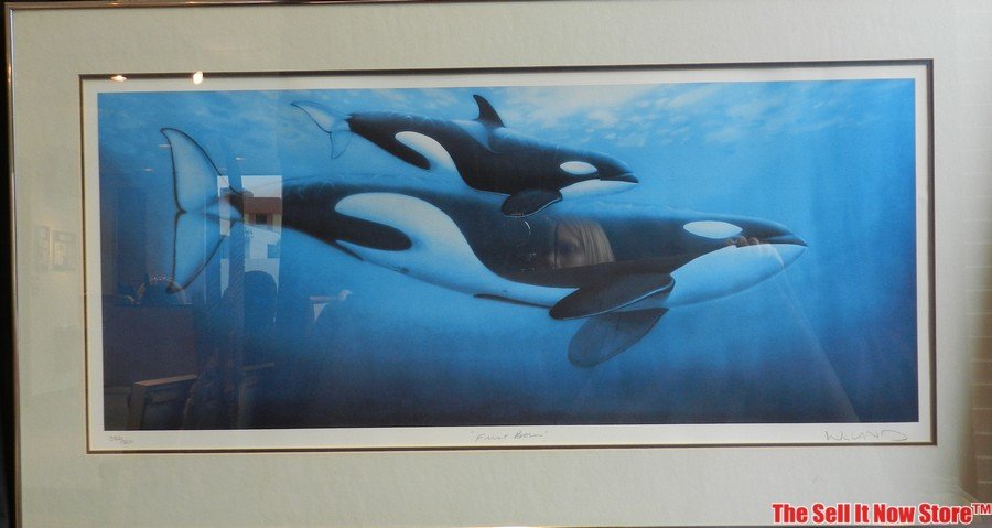 Robert Wyland "First Born" Lithograph Whale: This is "First Born" by Robert Wyland. It features a mother whale with her calf swimming close by. This is a lithograph that is 332 of 500. The frame piece measures 40-1/4" wide by 20-3/4" tall. The d