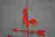 item-61776761=2