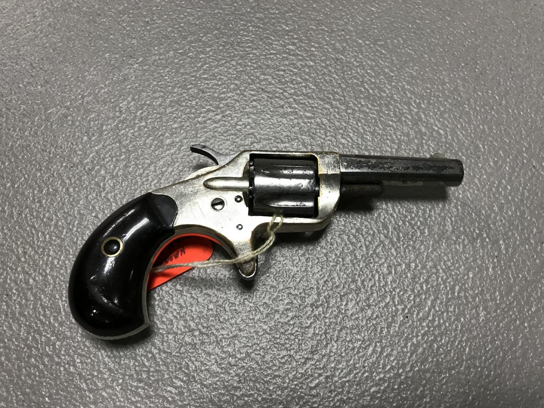 Colt New Line 22: Colt New Line 22