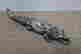 item-64196159=2