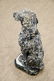 Concrete Poodle 25"H, 10" x 12" - 3