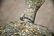 2pc. Lot of Concrete Deer 47"H, 45" x 18 1/2" - 13