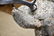 2pc. Lot of Concrete Deer 47"H, 45" x 18 1/2" - 14