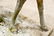 2pc. Lot of Concrete Deer 47"H, 45" x 18 1/2" - 7