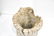 Early Wooden Mortar 19 1/2"H, 13 1/2" diam. - 3