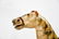 19th C. Child's Rocking Horse 30 1/2"H, 35 1/2" x - 3