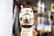 19th C. Child's Rocking Horse 30 1/2"H, 35 1/2" x - 5