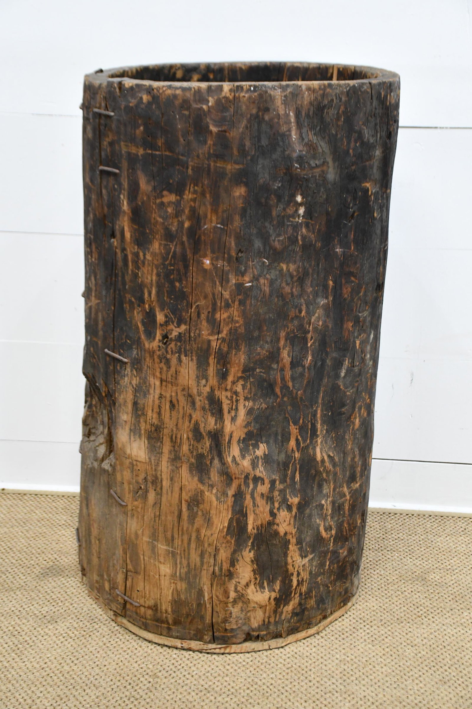 Hornbeam Tree Trunk Barrel 45 3/4"H,   24 1/2"  x   25" (1 of 6)