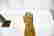 item-107778276=5