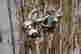 item-133350608=4