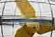 item-133350727=5