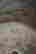 item-133350771=6