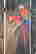 item-133350821=4