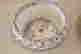 item-133350897=2