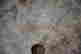 item-133350897=5