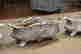 item-133351138=6