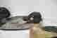 item-133351162=5