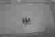 item-133351202=8