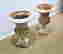 item-133351274=5