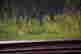 item-133351293=4