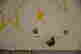 item-133988365=4