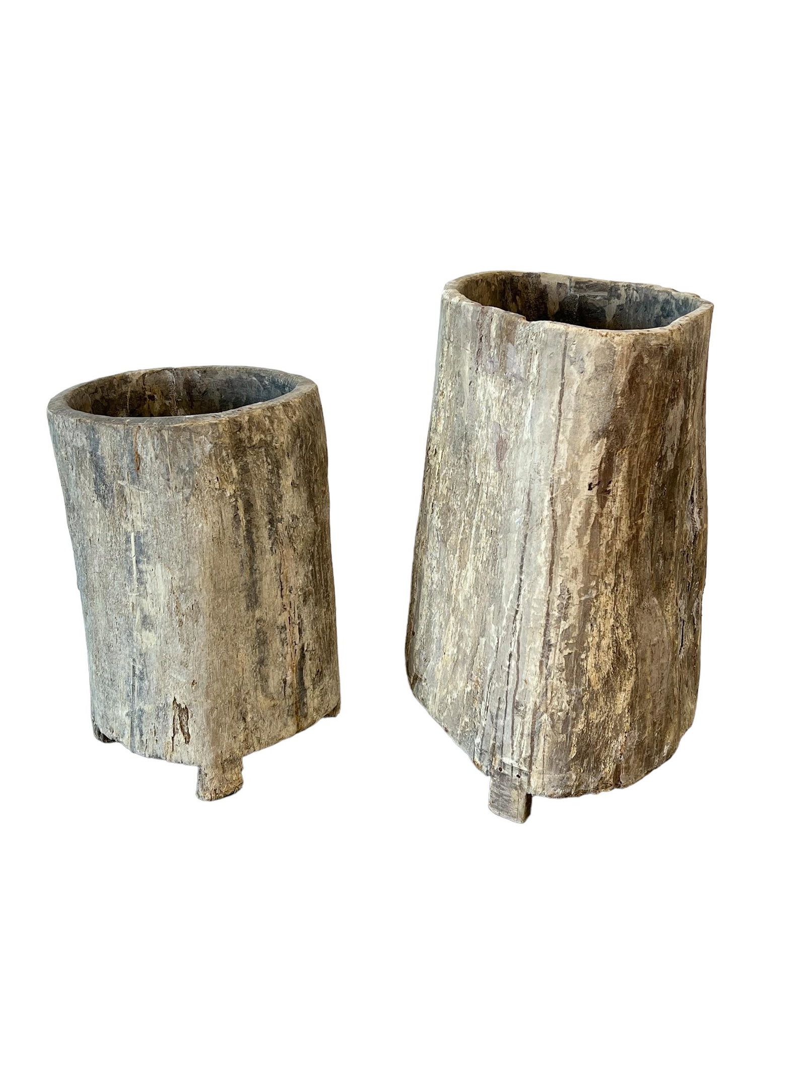 2pc. Lot of Hornbeams 26"H, 16" x 18" / 33"H, 18 1/4" x 17": 2pc. Lot of Hornbeams 26"H, 16" x 18" / 33"H, 18 1/4" x 17"
