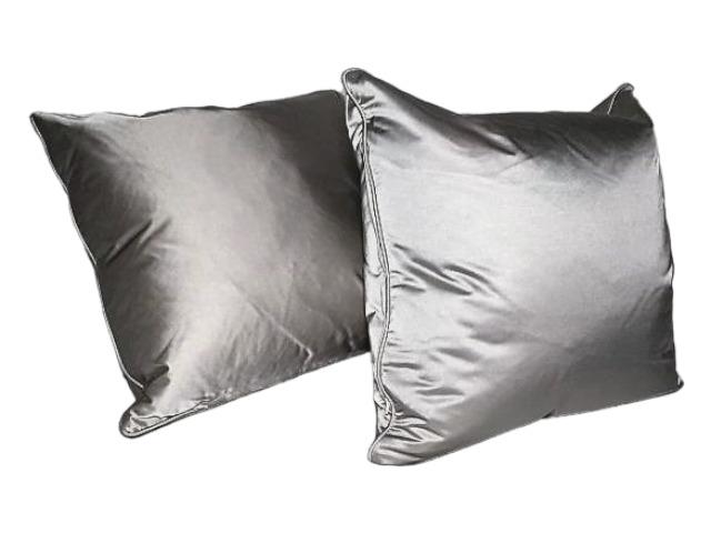 Pair Silver Case Down Pillows (1 of 3)
