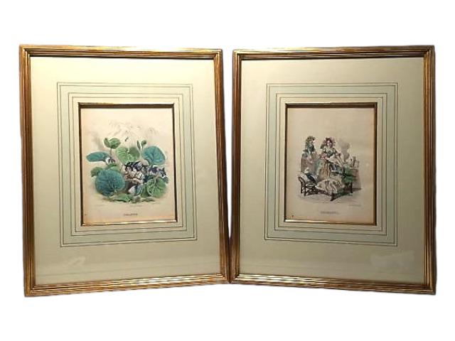 "Violette" & "Guimauve" Gilt Framed Prints (1 of 5)