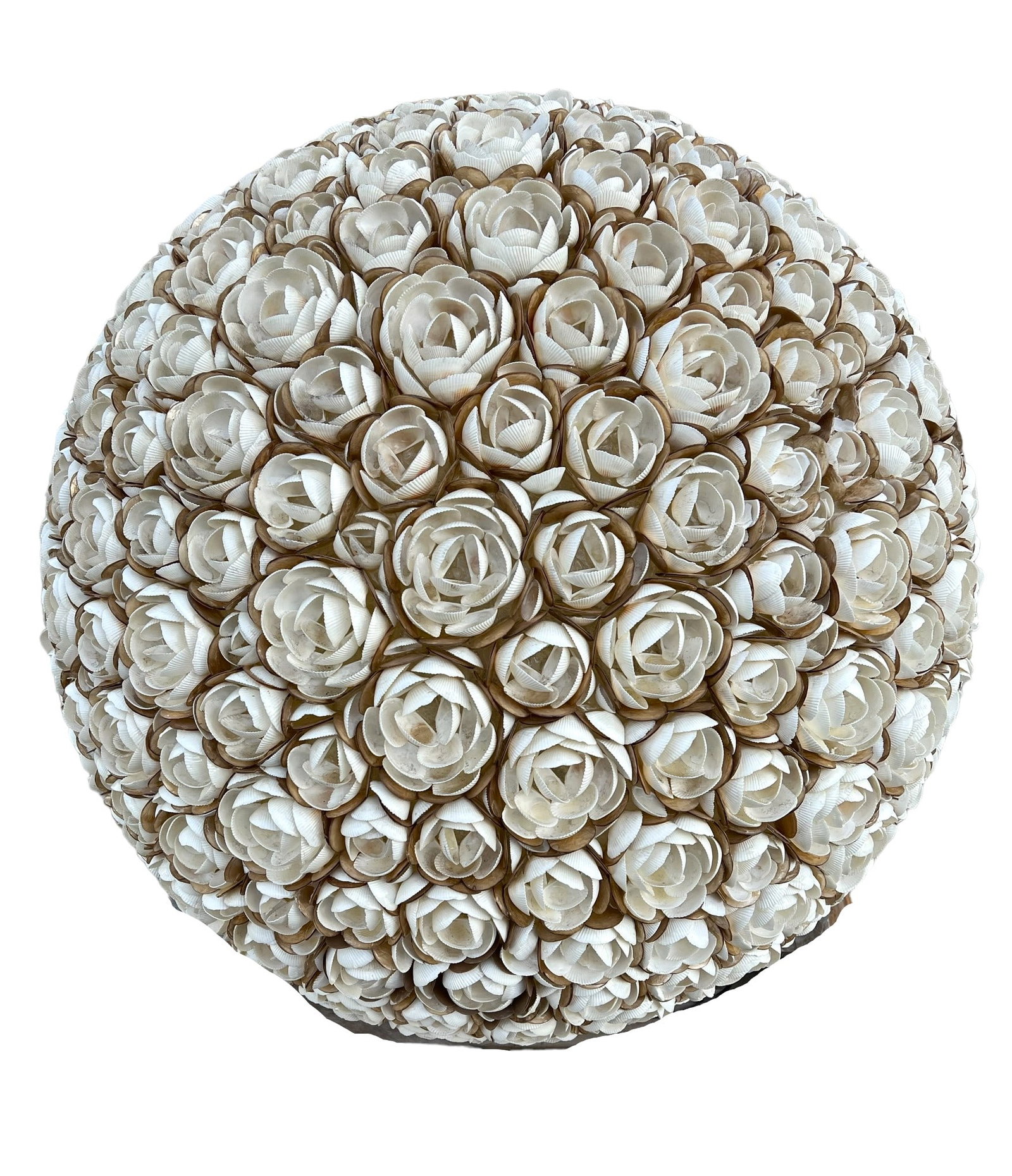 Seashell Light Fixture 42"H, 41"Diamater: Seashell Light Fixture 42"H, 41"Diamater