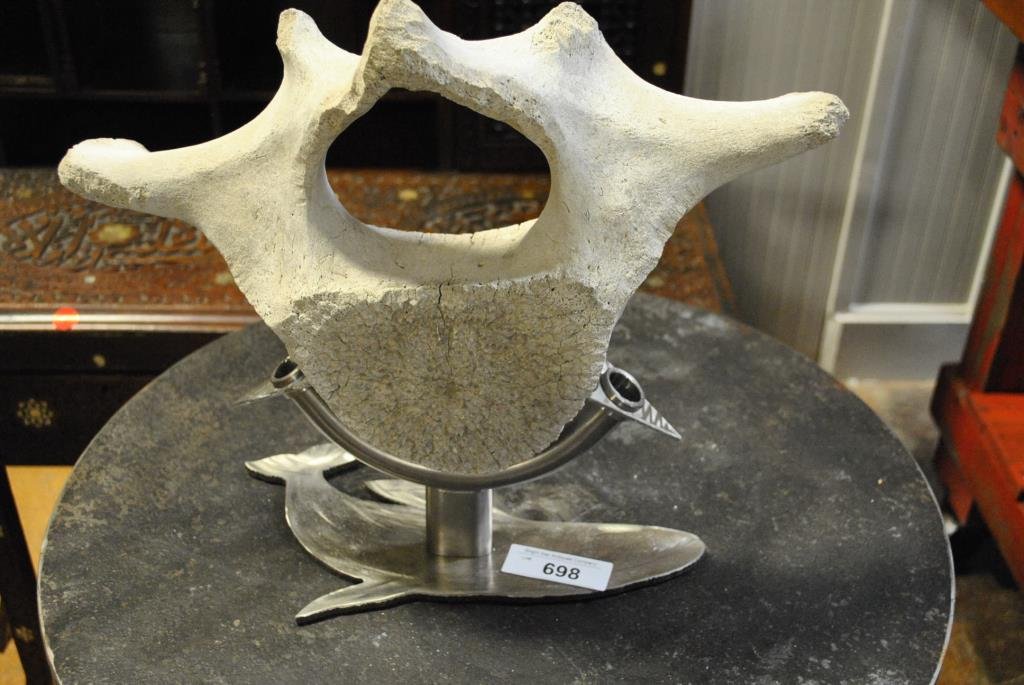 Whale Vertebrae w/Custom Base Bone-- 17 3/4"H, 11"L, 5: Whale Vertebrae w/Custom Base Bone-- 17 3/4"H, 11"L, 5 1/2"W Base-- 6 1/4"H, 12 1/4" x 7"