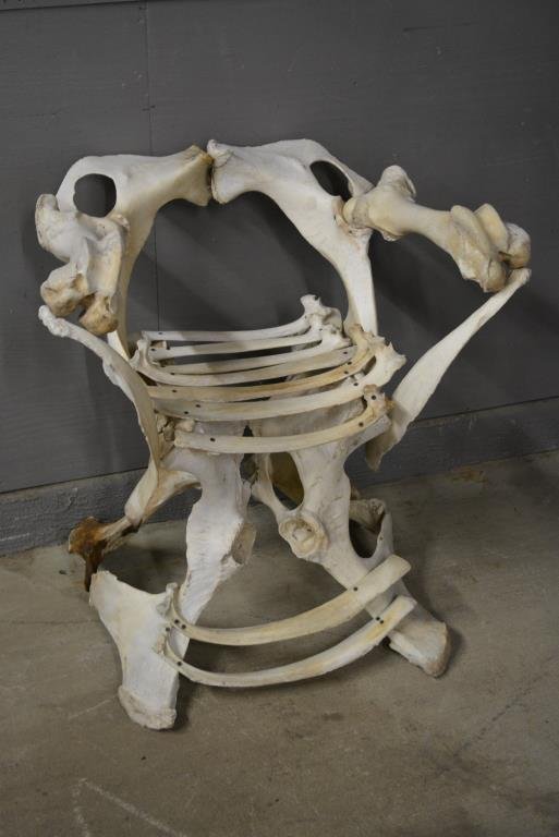Bone Throne Chair: Bone Throne Chair