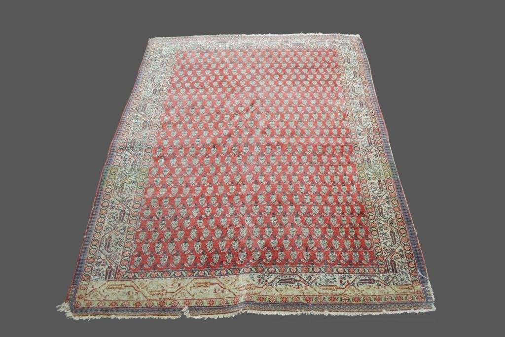 Oriental Rug 72"  x   53" (1 of 2)