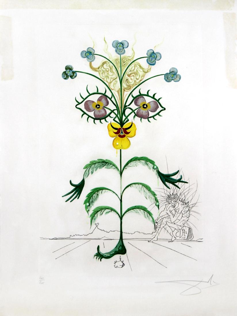 Viola Cogitans (Self Portrait Pansy) by Salvador Dali (1 of 3)