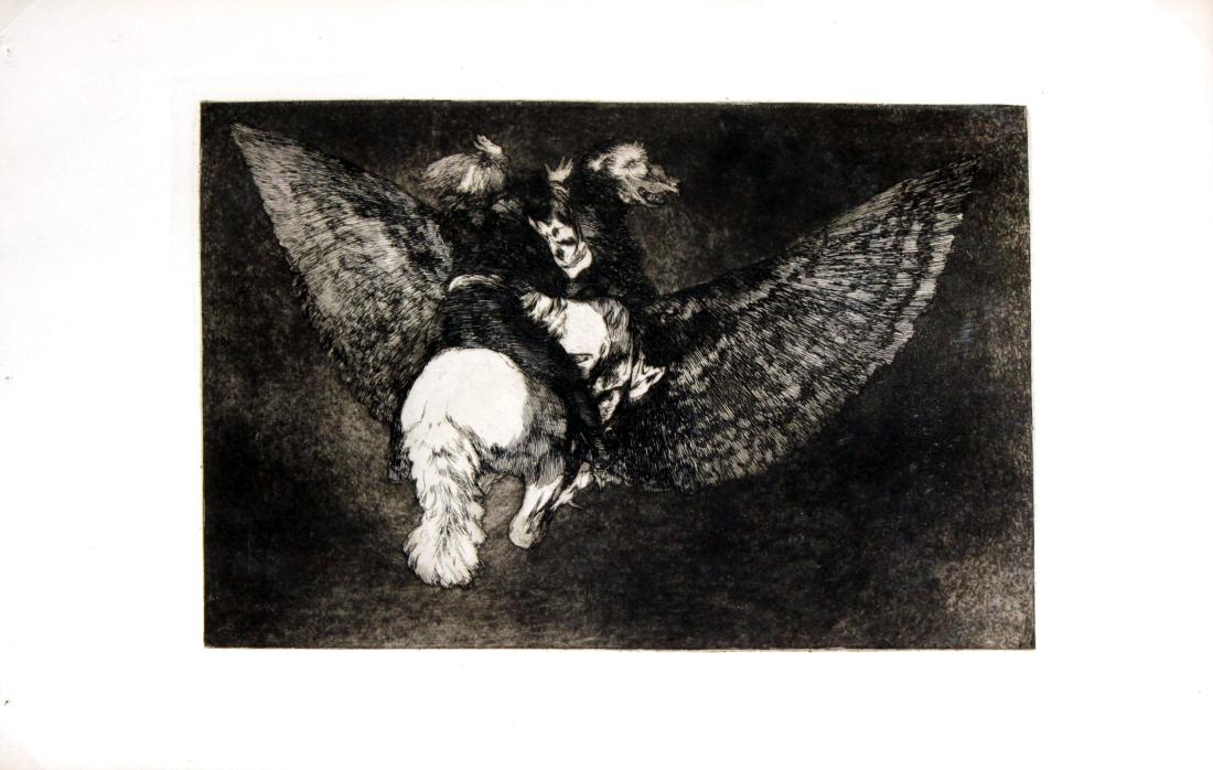 Francisco Goya - Flying Folly (1 of 1)