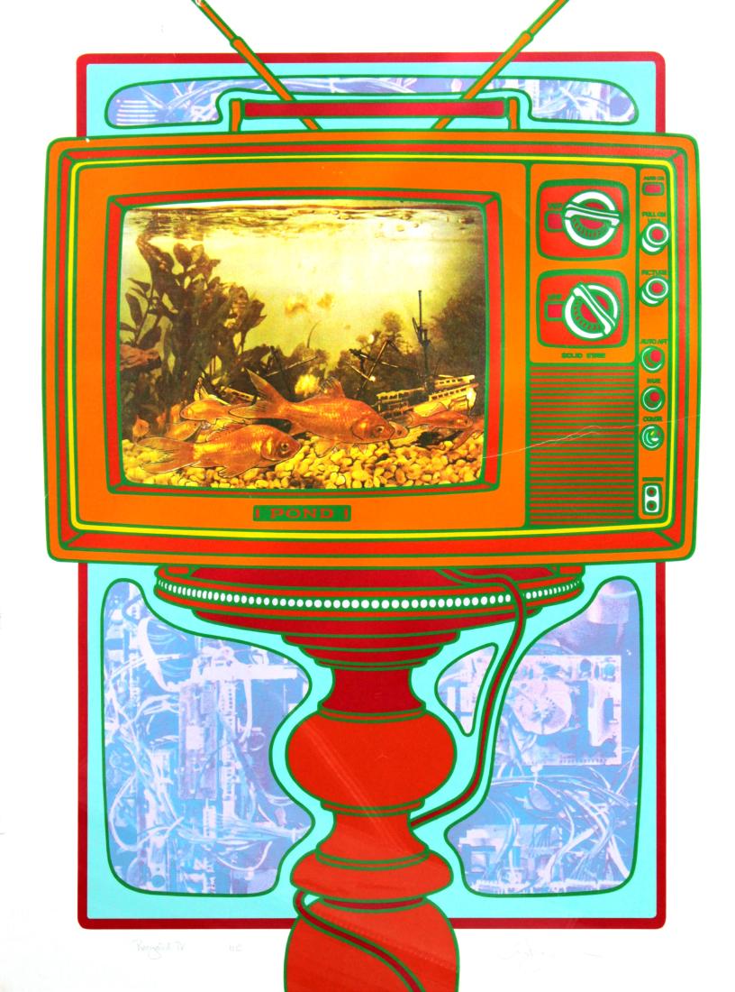 Clayton Pond - Recycled TV (1 of 2)