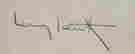 item-65060766=2