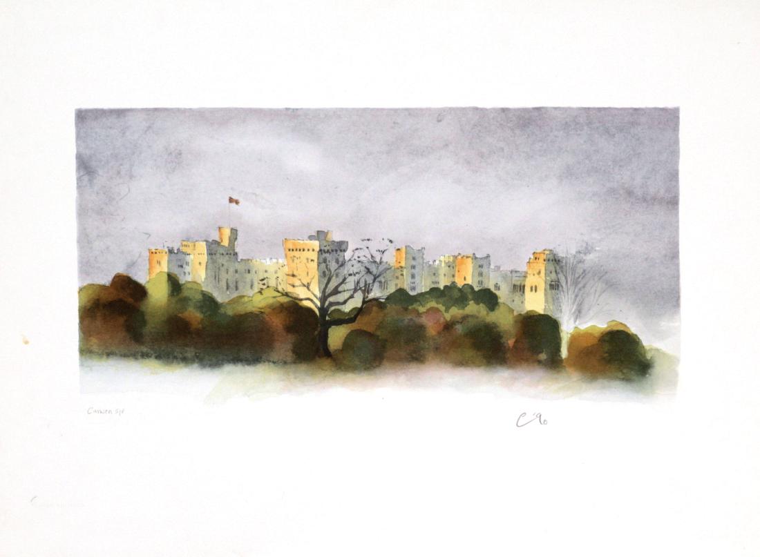 Prince Charles - Windsor Castle (1 of 3)