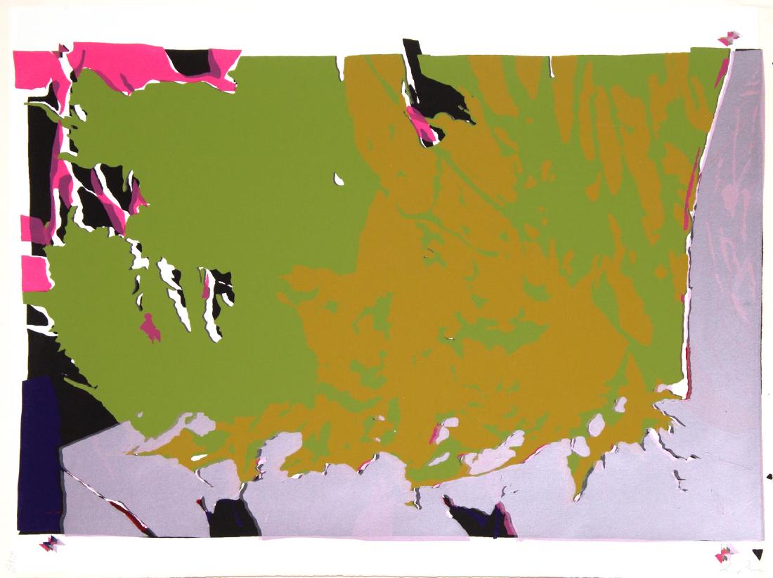 Larry Poons - Untitled: Artist: Larry Poons Title: Untitled Year: 1971 Dimensions: 20in. by 27.5in. Edition: 43 from the limited edition of 150 Publisher: Center for Consitutional Righ