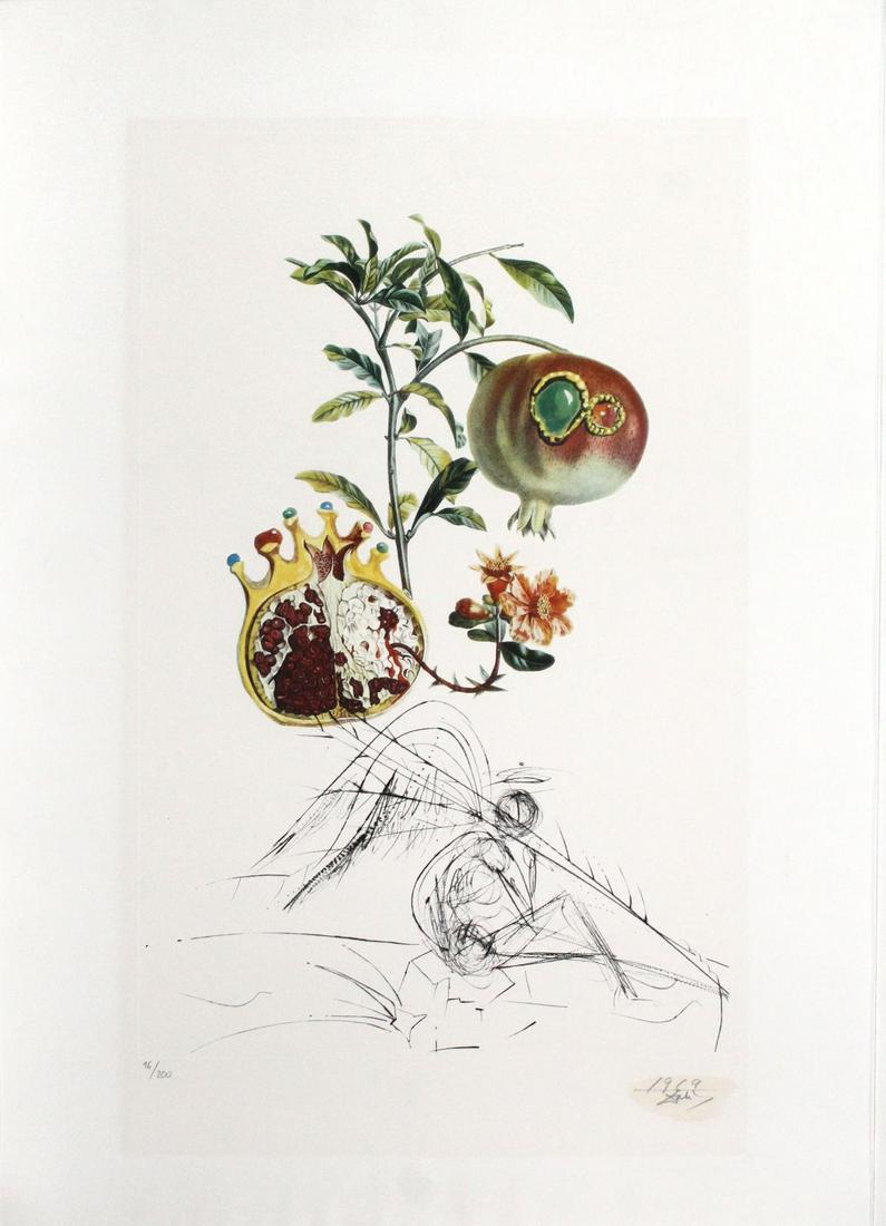 Salvador Dali - Grenade et l (1 of 3)