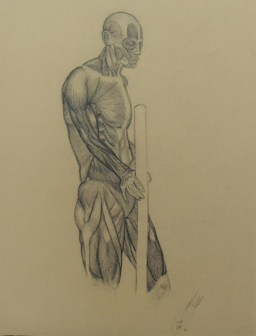 Bo Bartlett - Untitled Anatomy Study II: Artist: Bo Bartlett Title: Untitled Anatomy Study II Year: 1974 Dimensions: 9 3/4in. by 12 3/4in. Edition: original work Medium: drawing on paper Con