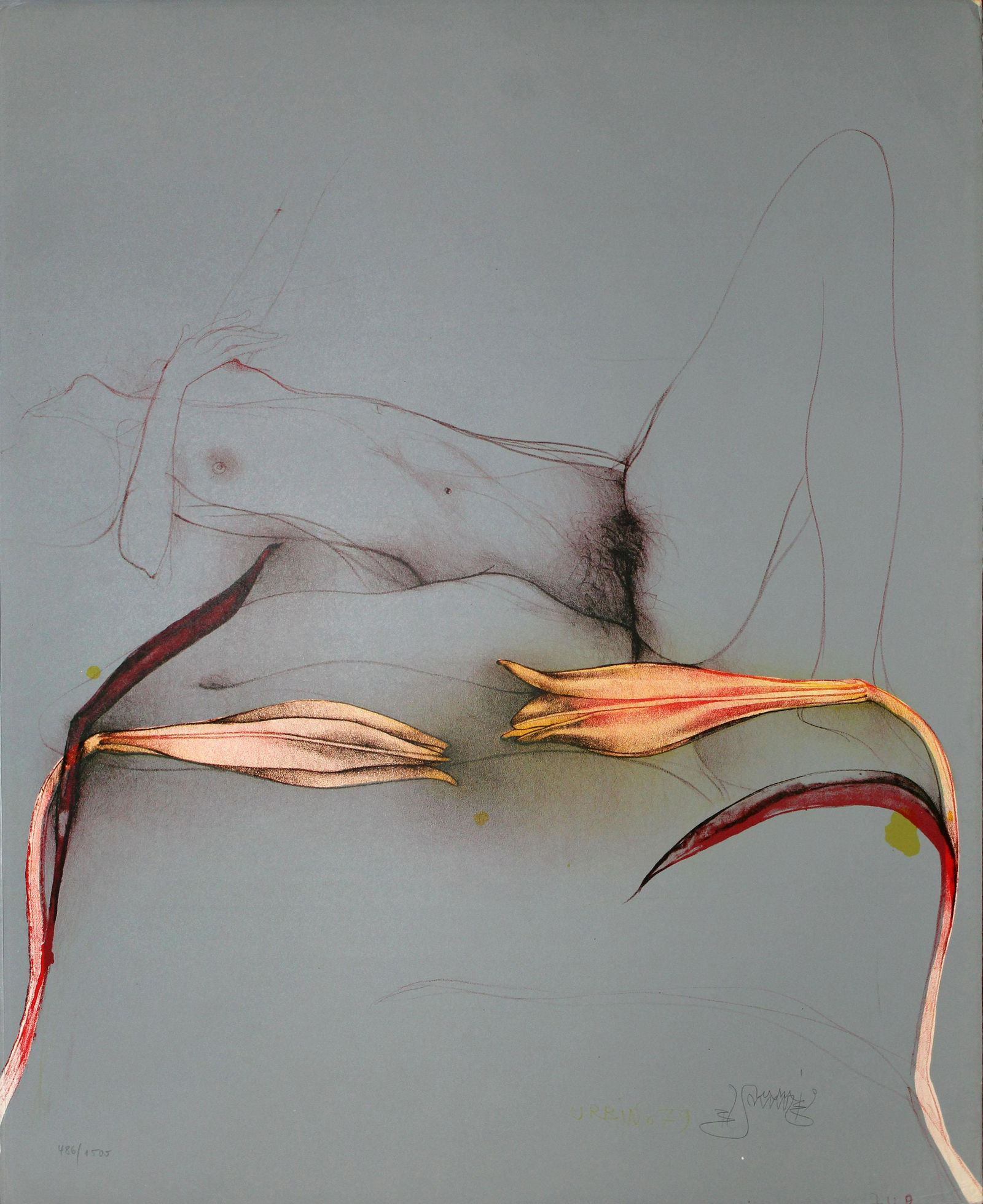 Bruno Bruni - Bird of Paradise (1 of 2)