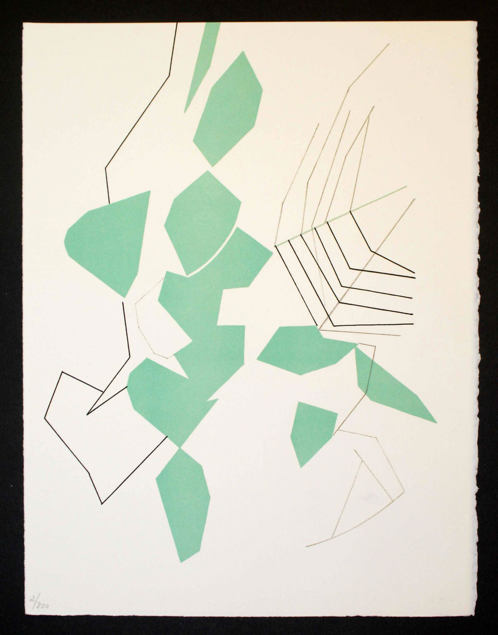 Andre Beaudin - Feuilles evedees (1 of 2)