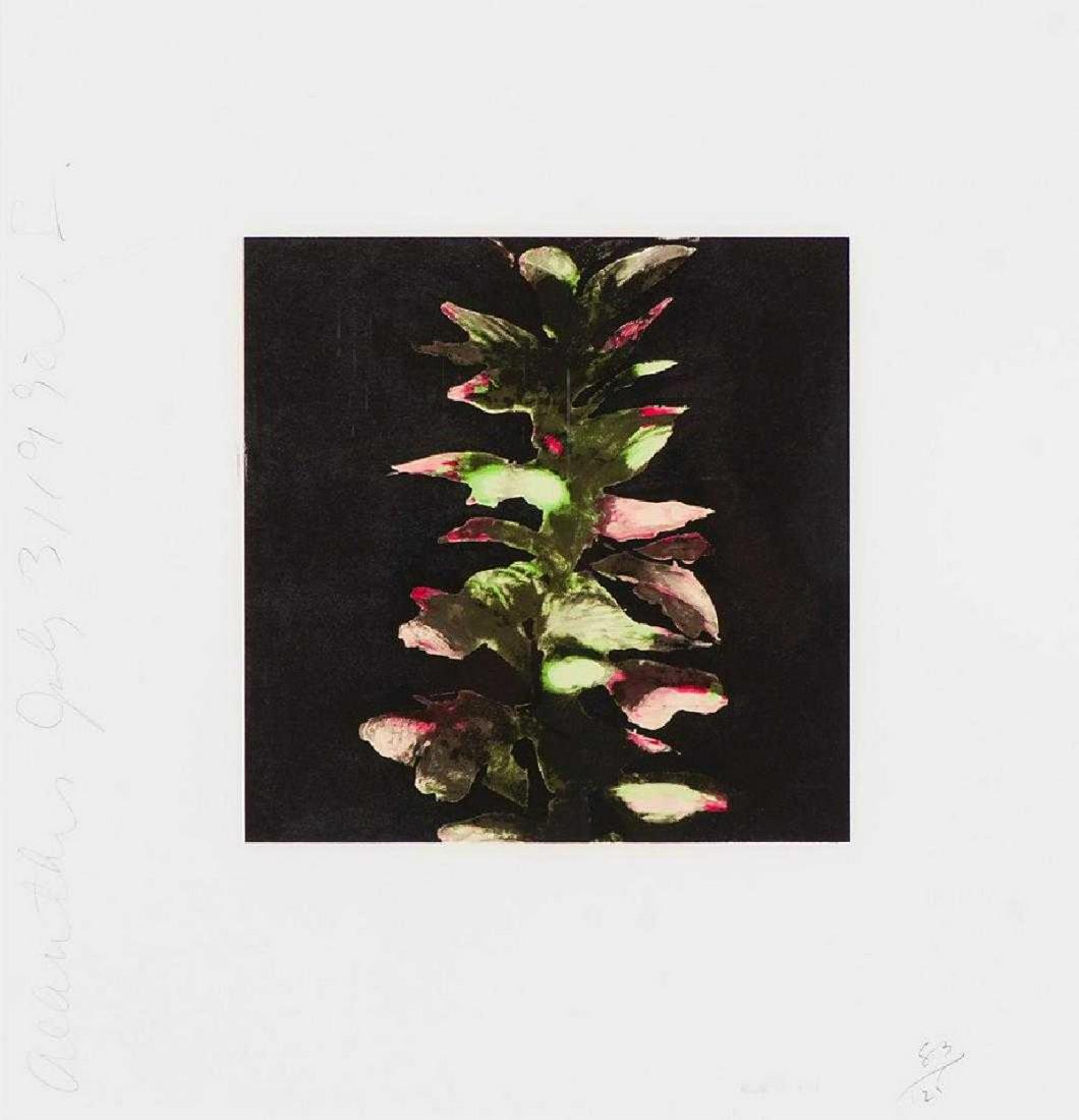 Donald Sultan - Acanthus (1 of 1)