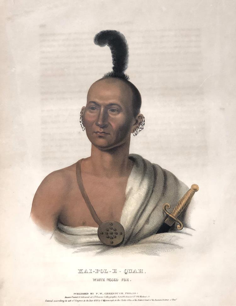 Charles Bird King - KAI-POL-E-QUAH WHITE NOSED FOX: Artist: Charles Bird King Title: KAI-POL-E-QUAH WHITE NOSED FOX Year: 1836 Dimensions: 19 5/8in. by 131/8in. Edition: From the rare limited edition Publisher: M