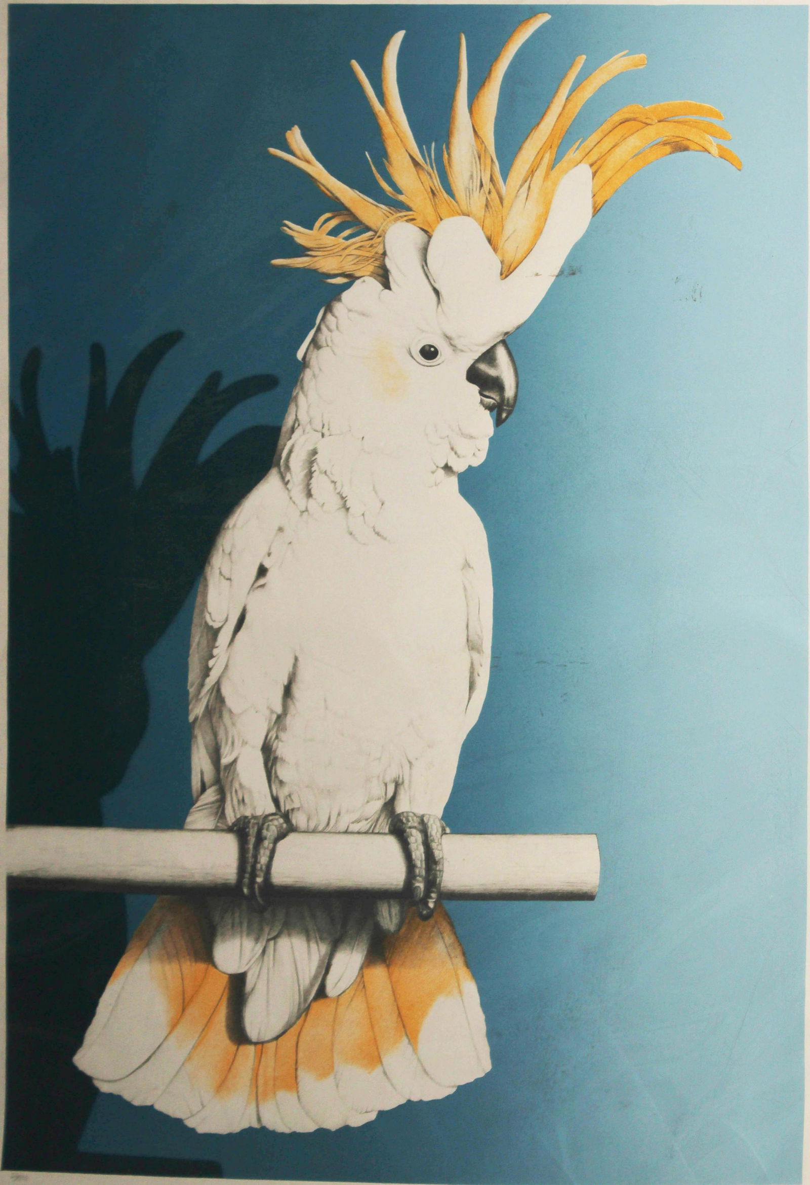 Tom Palmore - Cockatoo: Artist: Tom Palmore Title: Cockatoo Year: c.1980 Dimensions: 29.5in. by 38.5in. Edition: From the limited edition of 50 Medium: Color silkscreen on paper