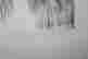 item-110086816=3