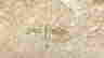 item-111337929=3