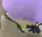 item-114982046=2