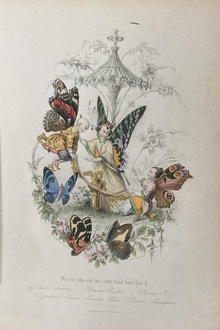 Amedee Varin - Plus Vite (1 of 1)